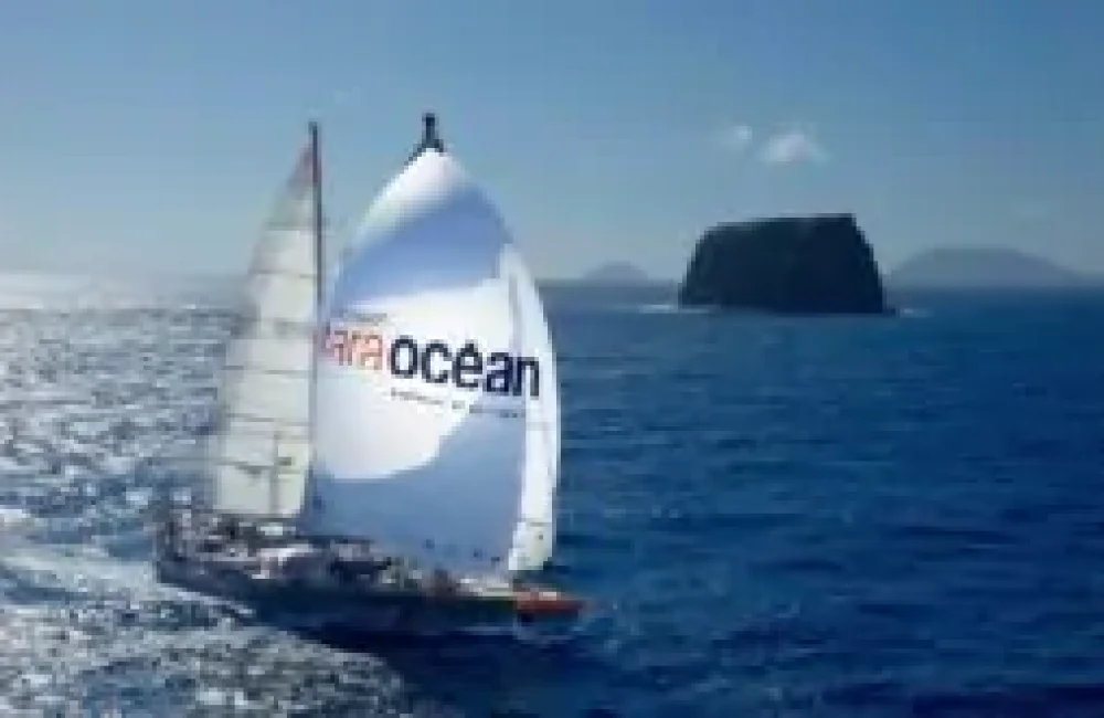 Tara Océan